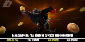 Đá Gà Campuchia – Trải Nghiệm Cá cược kịch Tính Cho Người Việt